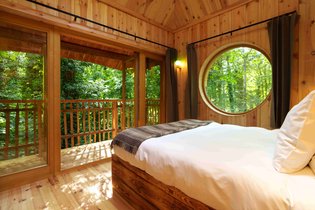 Cabane dans les arbres Oise