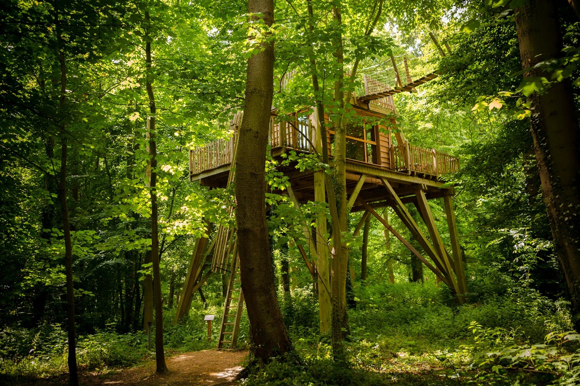 Hébergement UnicStay : Cabanes Duo Spa Suspendues dans les airs à Raray
