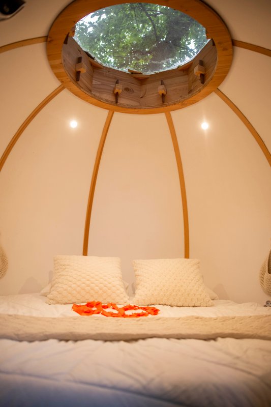 Cabane SPA Lov'nid à Gillonnay (21)