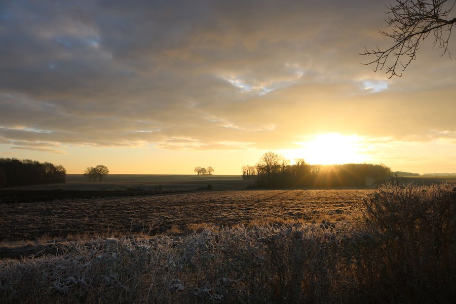Domaine AbracadaRoom : Le Nid du Tui - Image 1