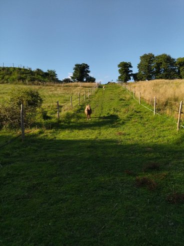 Hébergement AbracadaRoom : Bulle étoilée - Image 9