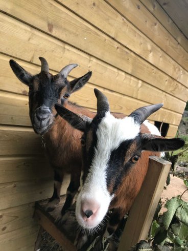 Domaine AbracadaRoom : Le Mas Normand - Image 10