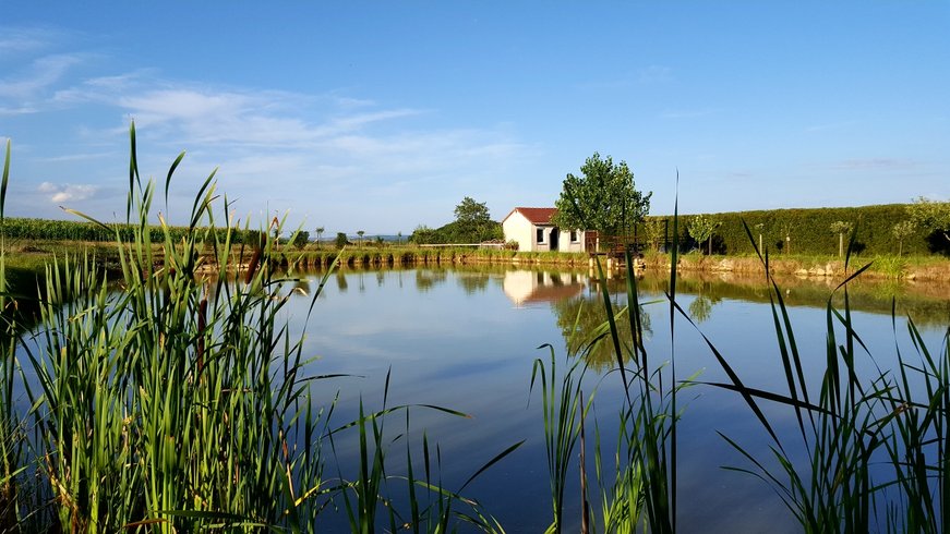 Hébergement AbracadaRoom : Gîte complet 5 Lodges  15 couchages - Image 15