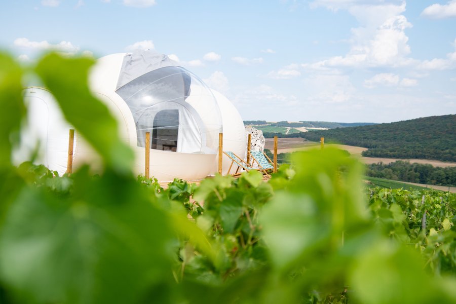 Hébergement AbracadaRoom : Bulle des vignes - Image 15