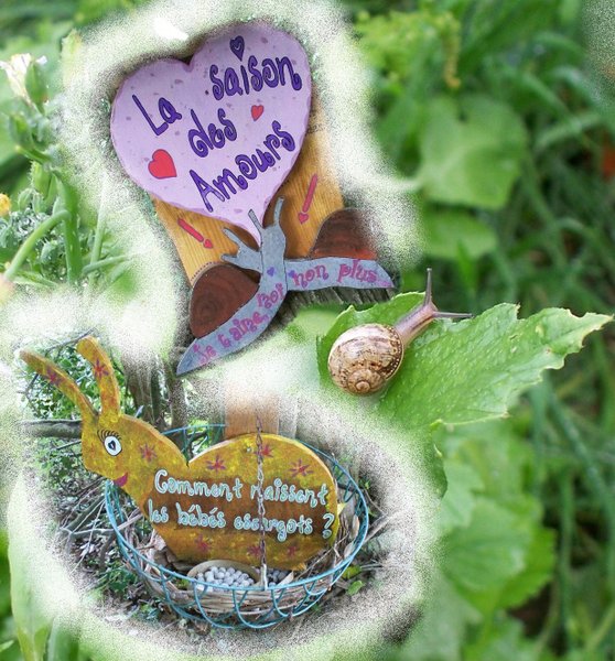 Domaine AbracadaRoom : Le P'tit Gris des Moulins - Image 5