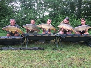 Domaine AbracadaRoom : Camping Sites & Paysages Saint Louis - Image 9