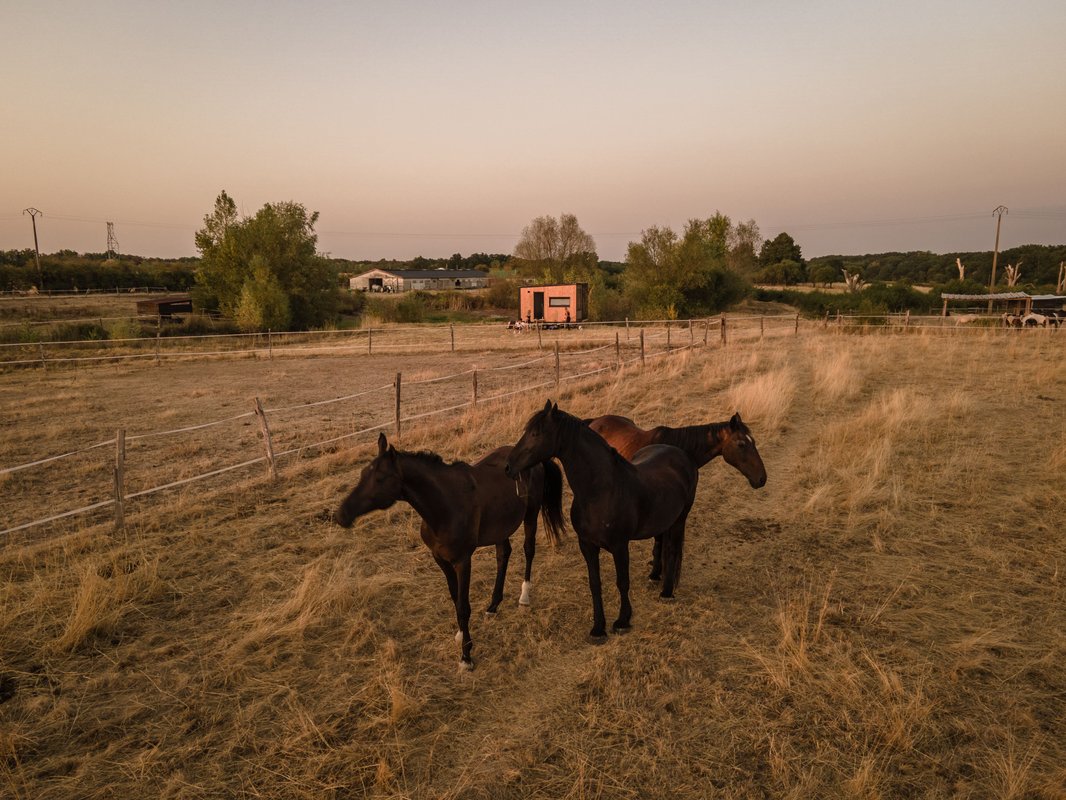 Homnest - Tiny house dans l'Allier - Cheval à Espinasse-Vozelle (32)