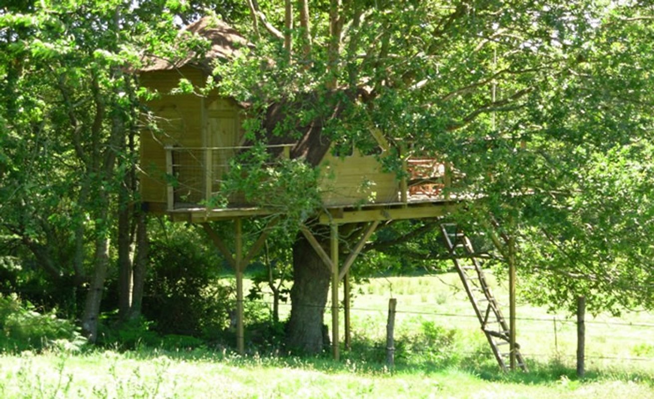 La Cabane perchée Heol à Ploemel (2)