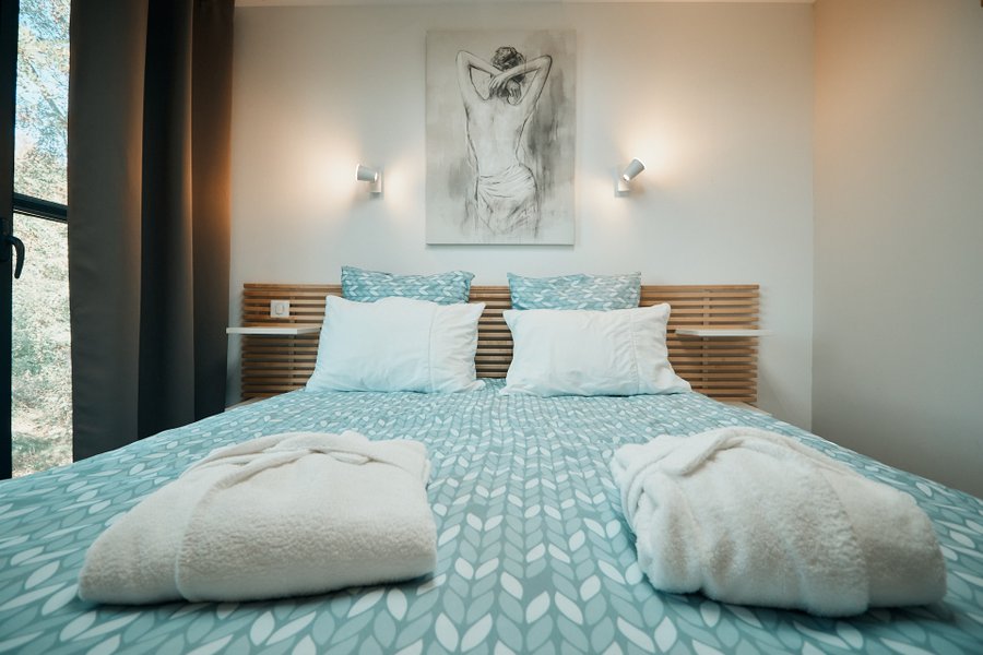 Hébergement AbracadaRoom : Chalet Spa Sirius - Image 25