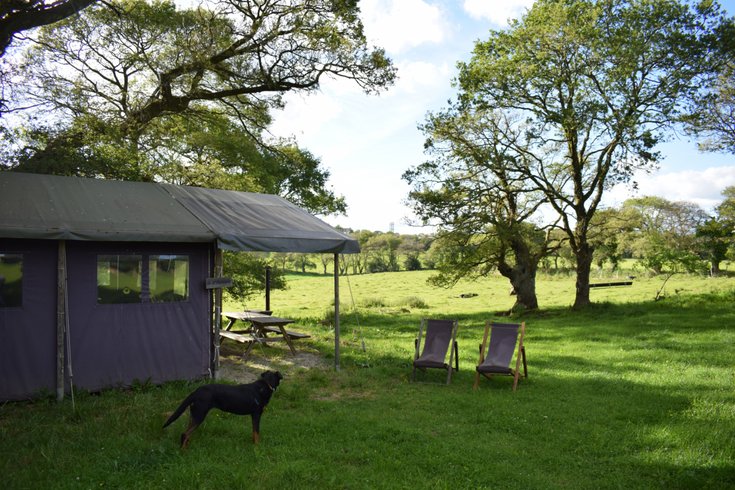 Hébergement AbracadaRoom : Lodge Penquelen Huella n°1 - Un Lit au Pré - Image 3