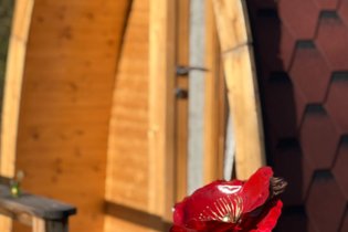 Ô Saveur de l'instant