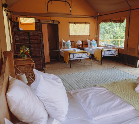 Hébergement AbracadaRoom : Maasai Mara, classique - Image 3