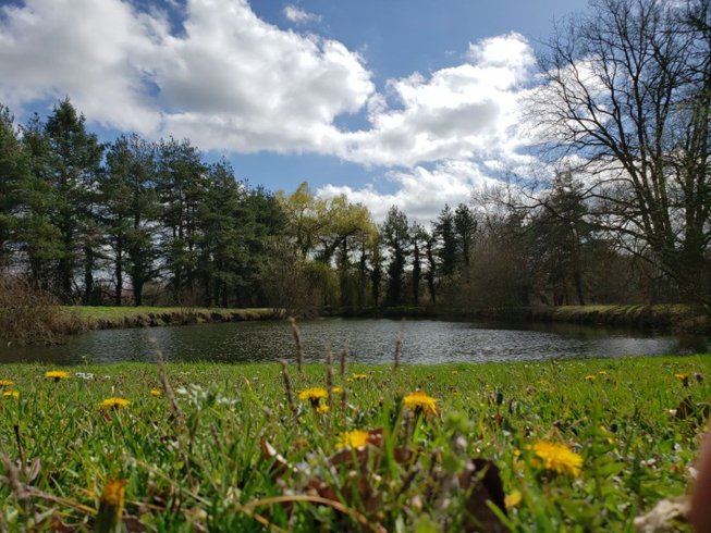 Domaine AbracadaRoom : Three Willows - Image 8