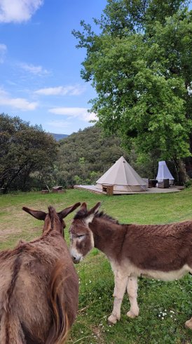 Domaine AbracadaRoom : Mas Saber - Image 24