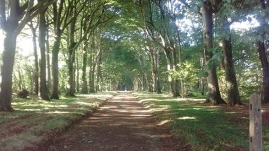 Domaine AbracadaRoom : Les Cabanes de Kermenguy - Image 2