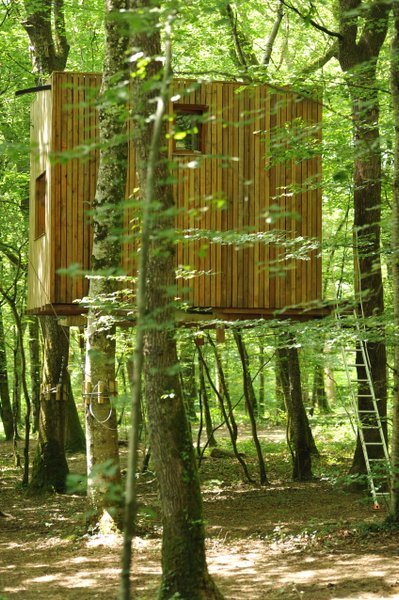 Hébergement AbracadaRoom : Cabane Ecureuil - Image 3