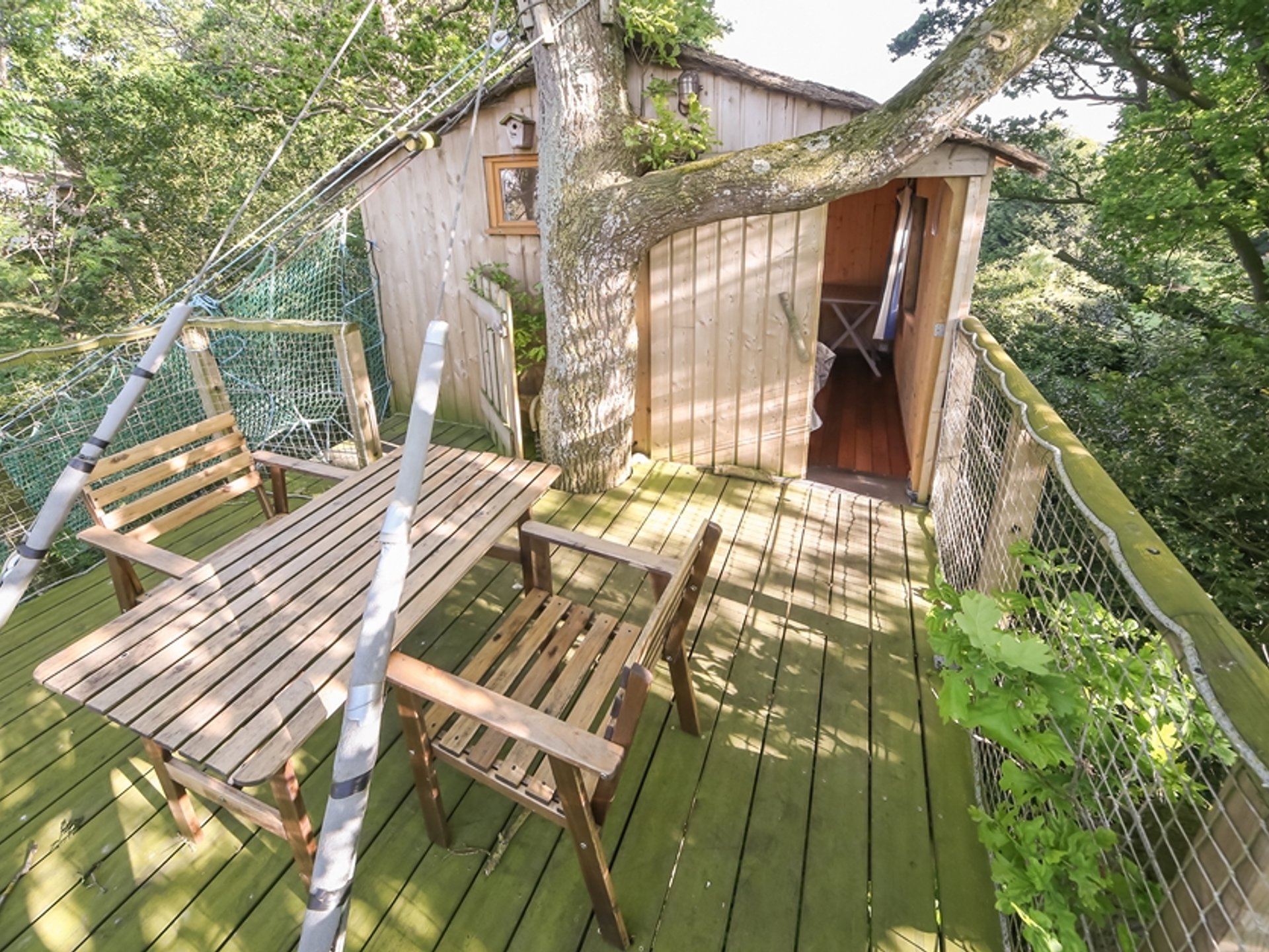 Cabane Tour : une nuit perchée au cœur de la Bretagne