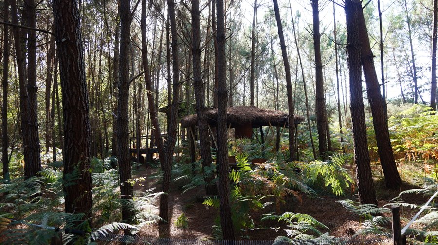 Domaine AbracadaRoom : Les Landines - Image 6