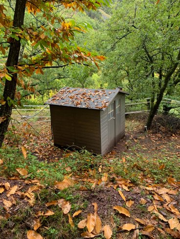 Hébergement AbracadaRoom : Lov'Nid  de Belvédère - Image 17