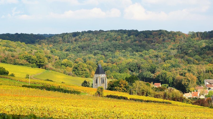 Domaine AbracadaRoom : La Réserve de l'Aube - Image 20