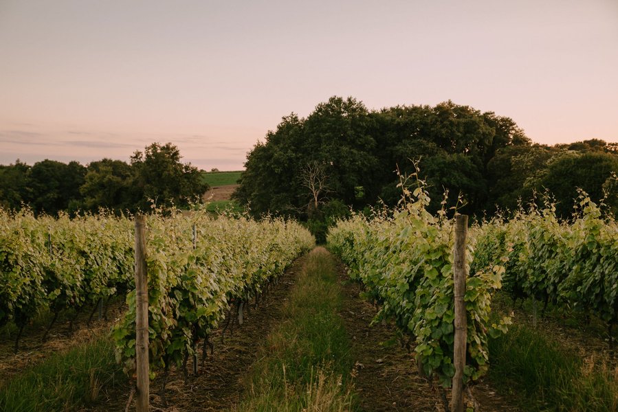 Hébergement AbracadaRoom : Villa Hakuna Matata - Image 20