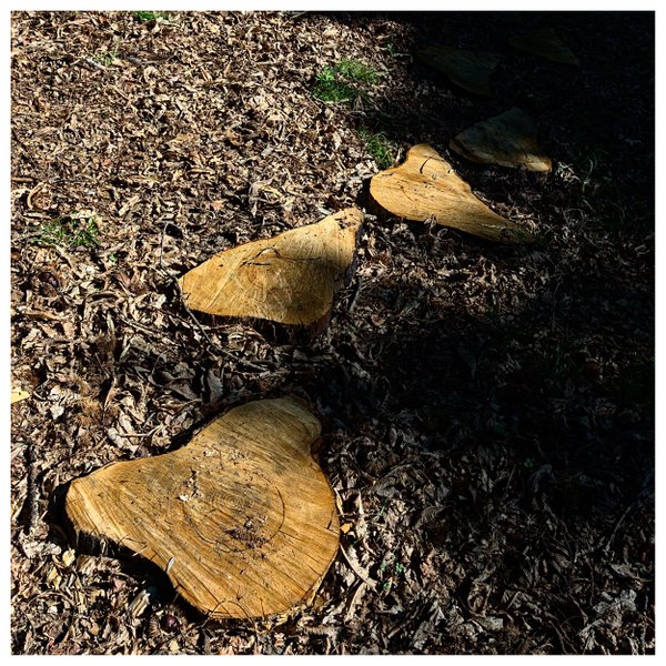 Domaine AbracadaRoom : Caban'Aspe - Image 15