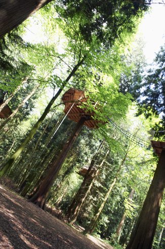 Hébergement AbracadaRoom : Cabane Tyrolienne n°4 - Image 4