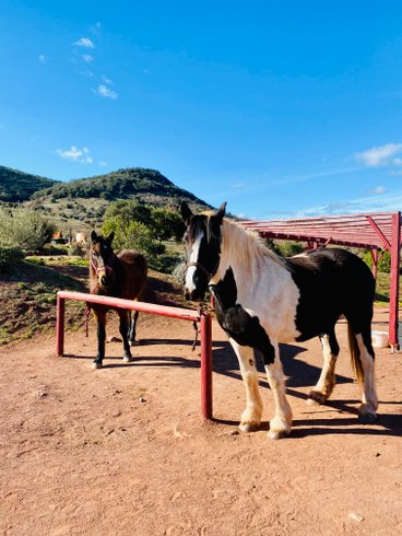 Domaine AbracadaRoom : L'Attrape Rêves - Image 5