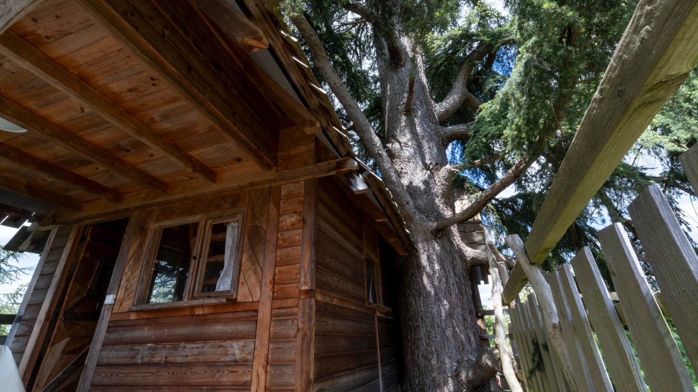 Cabane au Cédre du Bonheur à Cravencères (15)