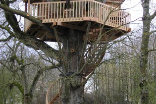 Cabane dans les arbres Maine-et-Loire