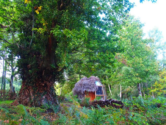 Hébergement AbracadaRoom : Le Cul de Loup - Image 1