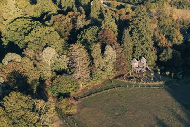 Castél de l'Arbre à Château de Memanat à Chavanat (4)