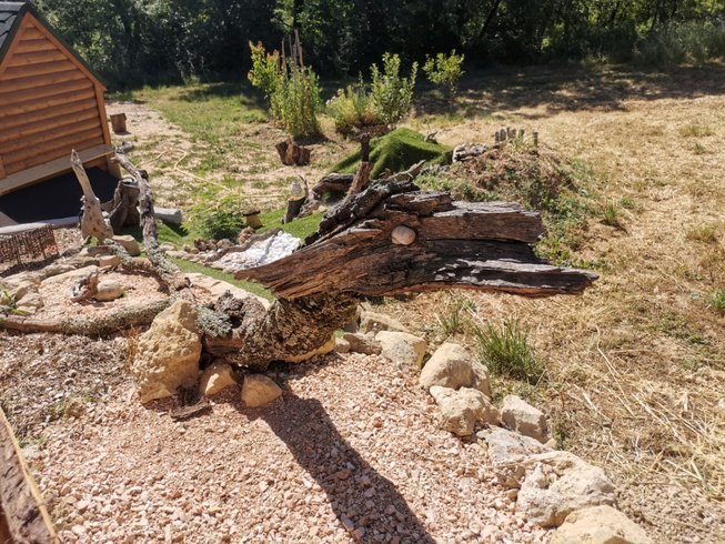 Hébergement AbracadaRoom : La Chaumière magique des Elfes et son escape game - Image 40