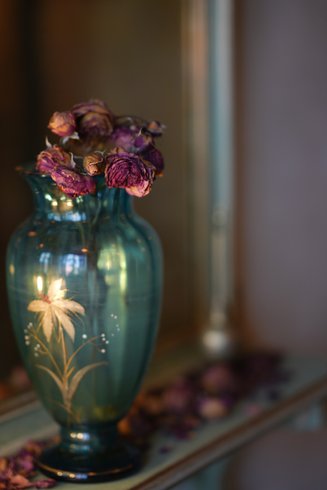 Domaine AbracadaRoom : Santolina Etrusca - Image 13