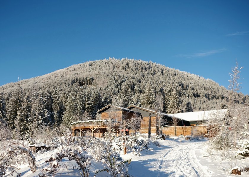 Domaine AbracadaRoom : Nutchel Forest Village Alsace - Image 13