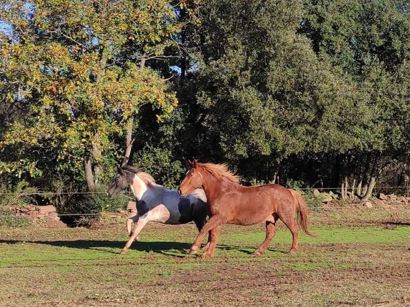 Hébergement AbracadaRoom : Le Voyage Imaginaire - Image 29