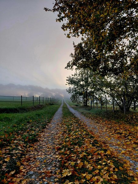 Domaine AbracadaRoom : Domaine Arcadia - Image 1
