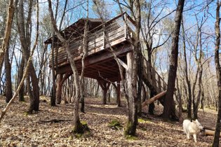 Les cabanes des collines