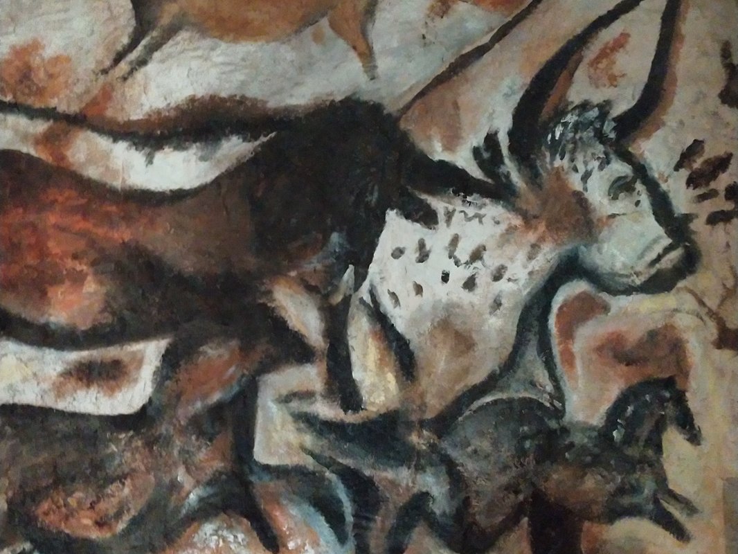 Homoerectus à Saint-Geniès (11)