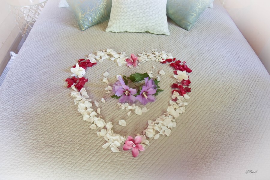 Domaine AbracadaRoom : Le Clos de Cyrano - Image 7