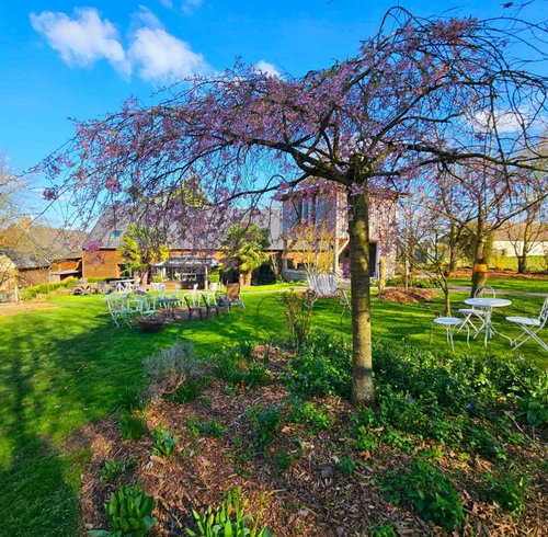 Hébergement AbracadaRoom : La Grande Ourse - Image 10