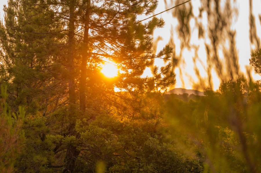 Hébergement AbracadaRoom : Homnest - L'Observatoire des Préalpes - Au coeur d'un haras - Image 57