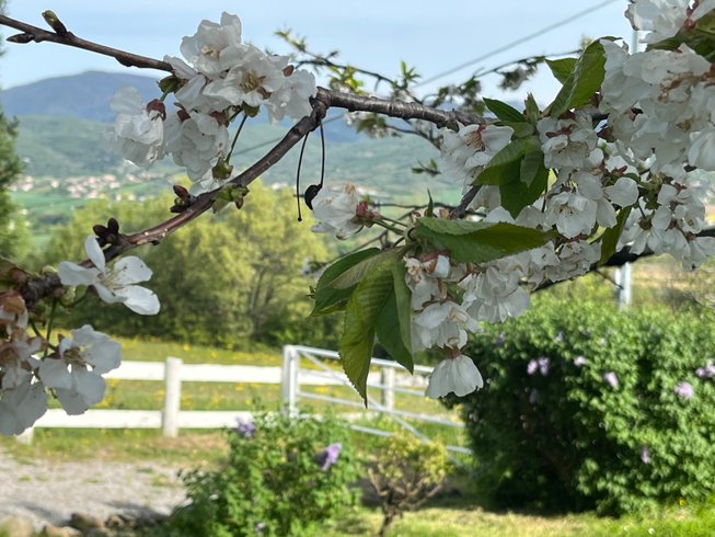 Hébergement AbracadaRoom : La caravane bohème - Image 12