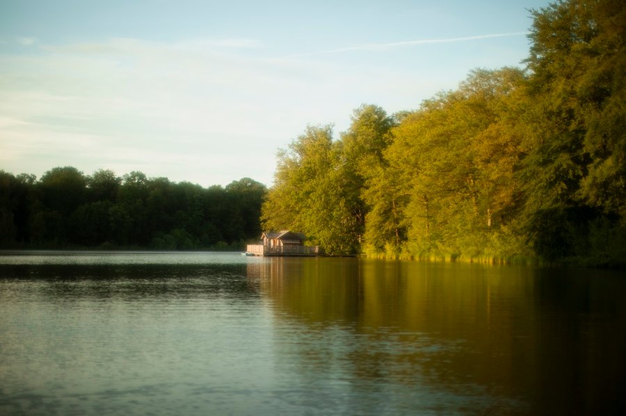 Hébergement AbracadaRoom : Cabane Royale - Image 7