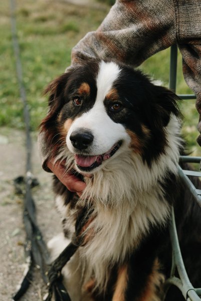 Hébergement AbracadaRoom : Tiny House La Vendange proche de Saint Emilion - Image 9