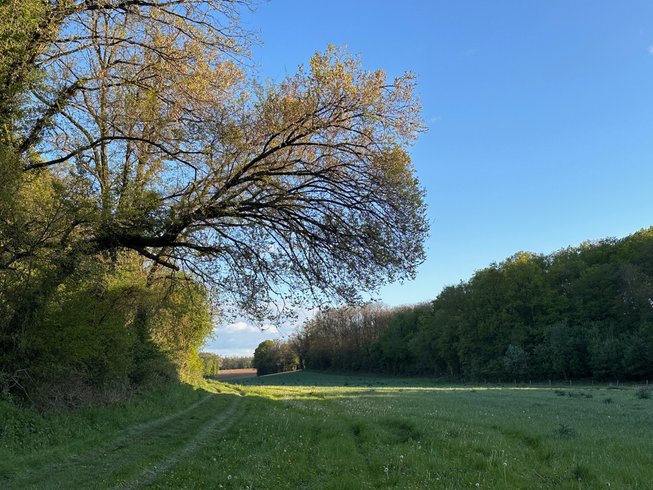 Domaine AbracadaRoom : Ecurie des prés hauts - Image 15