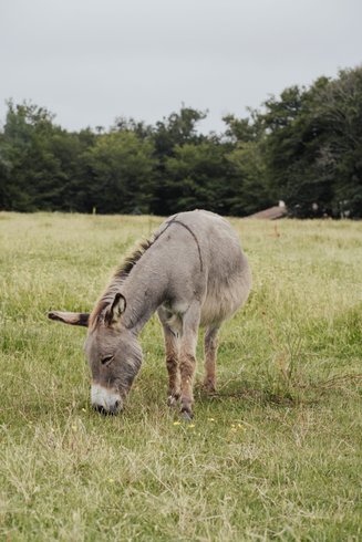 Hébergement AbracadaRoom : Notre Cabane perchée & son lac privé - Image 23
