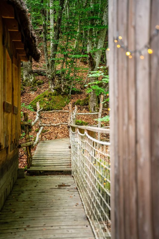 Cabane Spa Les Elfes à Saint Léger Les Mélèzes (14)