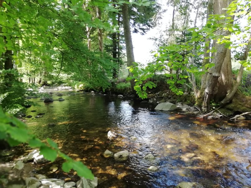 Hébergement AbracadaRoom : Tiny House La Rivière - Image 9