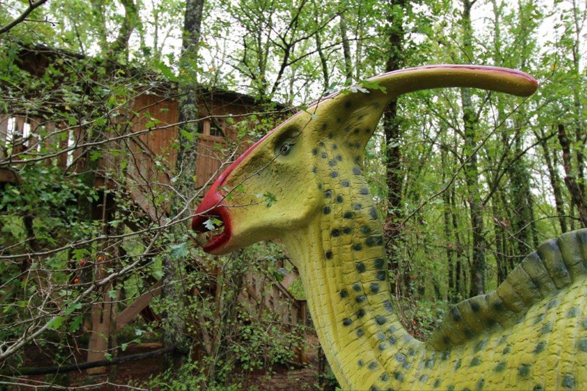 Cabane Perchée Jurassic à Lavaurette (13)